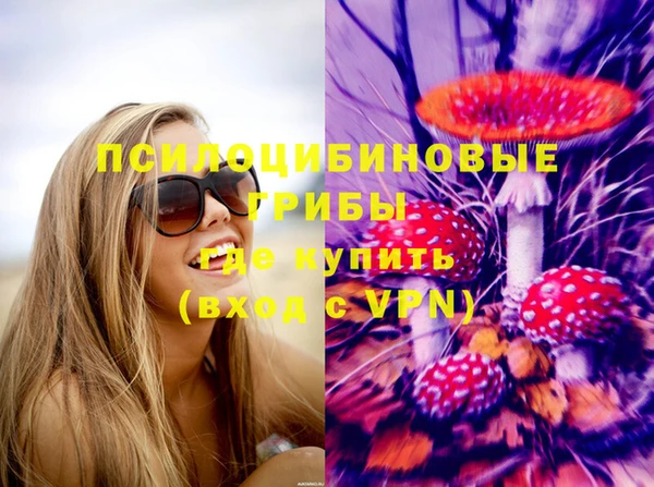 тгк Алзамай