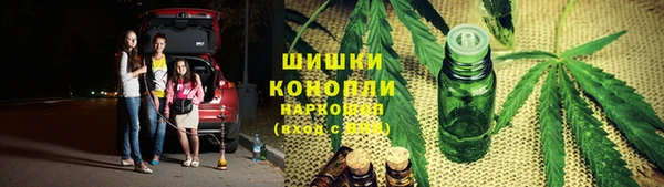 тгк Алзамай