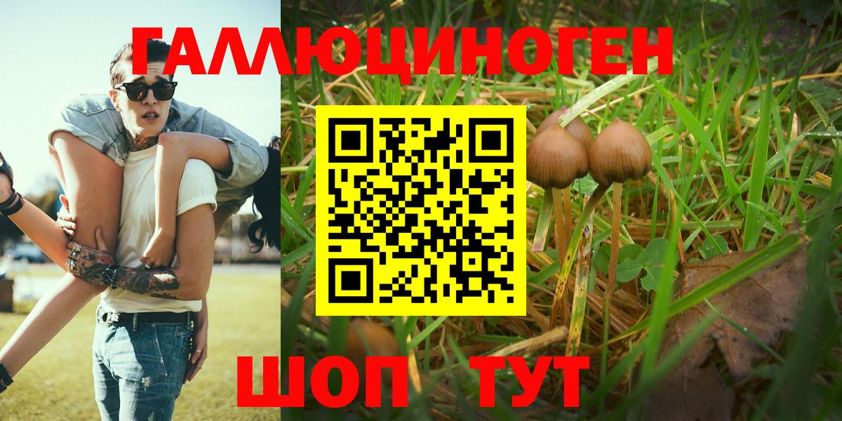 Псилоцибиновые грибы Magic Shrooms Белорецк