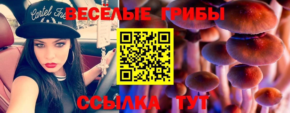 Белорецк  Псилоцибиновые грибы Cubensis  Вход с VPN 